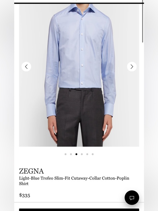 Ermenegildo Zegna Other - Ermenegildo Zegna Light Blue Dress Shirt